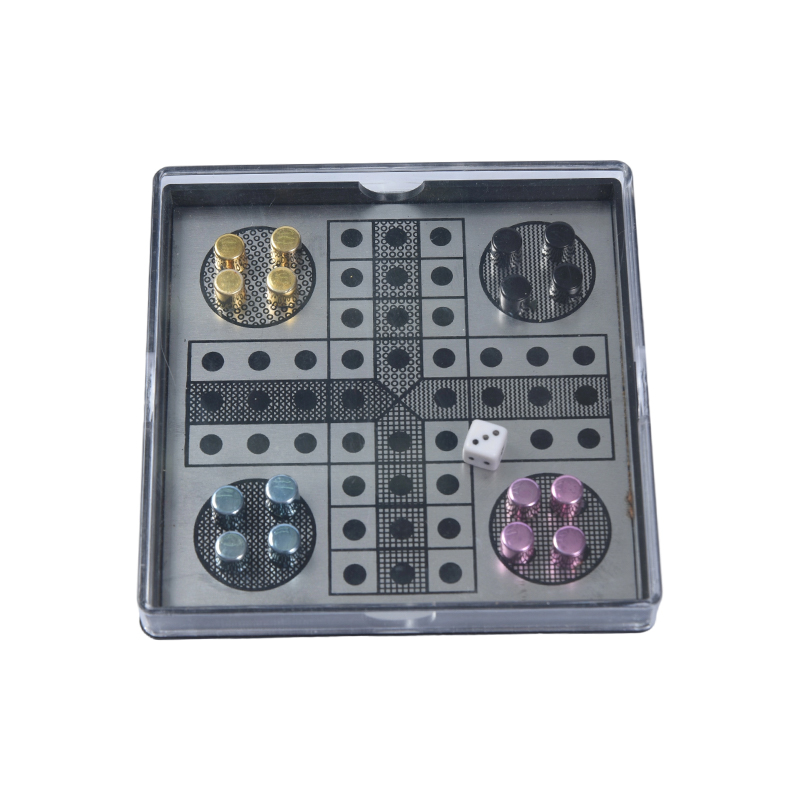 Set da gioco Ludo in metallo magnetico in custodia acrilica trasparente