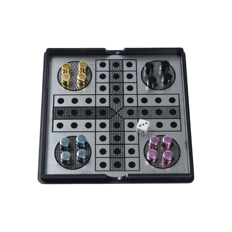 Set da gioco Ludo in metallo magnetico in custodia acrilica trasparente